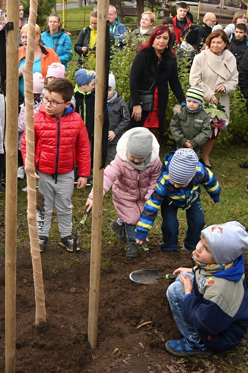 Děti zasadily na školní zahradě lípu Sametku