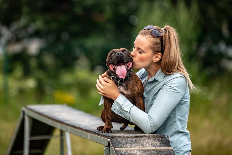 Hromadné očkování psů proti vzteklině se uskuteční začátkem června