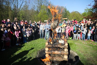JIH OŽIVUJE JARNÍ TRADICE - STAVÍ MÁJKU A PÁLÍ ČARODĚJNICE    