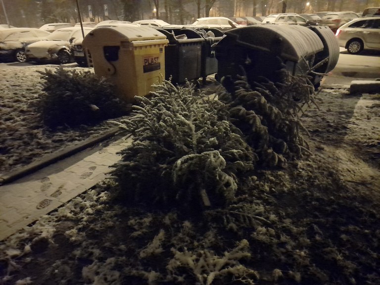 Město Ostrava zajistí svoz vánočních stromků, do zoo je nenoste