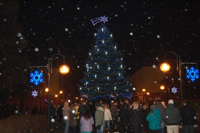 V obvodu už svítí vánoční strom