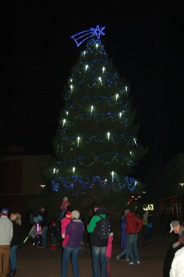 Na náměstí SNP už svítí vánoční strom