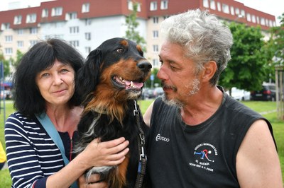 Přátelský festival pro milovníky psů