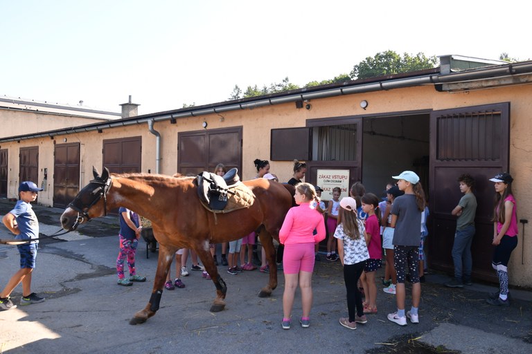 Příjem žádostí o dotace na volnočasové aktivity, akce a činnost spolků, zahájen!