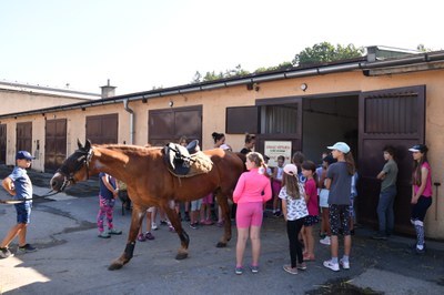 Příjem žádostí o dotace na volnočasové aktivity, akce a činnost spolků, zahájen!