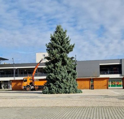 Přípravy na Vánoce jsou v plném proudu