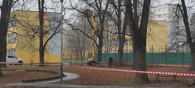 Rekonstrukce parkové zeleně v ulicích Adamusova a Klegova