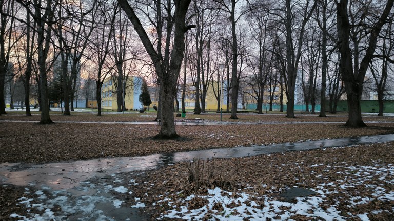 Rekonstrukce parkové zeleně