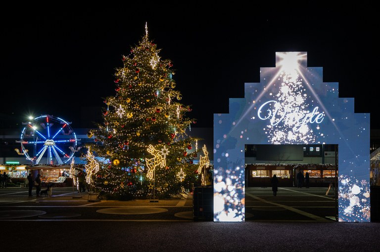 Rozsvícením stromu na Náměstí Ostrava-Jih začal advent. Ulice rozzářila vánoční výzdoba