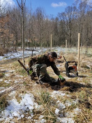 SADY MLADÝCH SE ROZROSTLY NA POČEST NAROZENÝCH DĚTÍ 