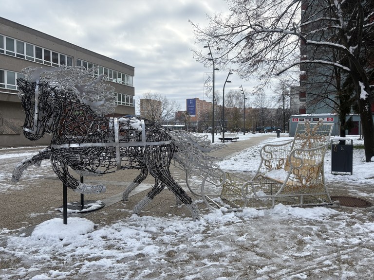 Ulice Jihu se vánočně rozsvítí 1. prosince