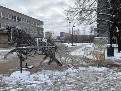 Ulice Jihu se vánočně rozsvítí 1. prosince