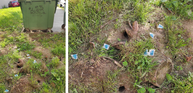 UPOZORNĚNÍ K NÁSTRAHÁM NA POTKANY V OSTRAVĚ-JIHU