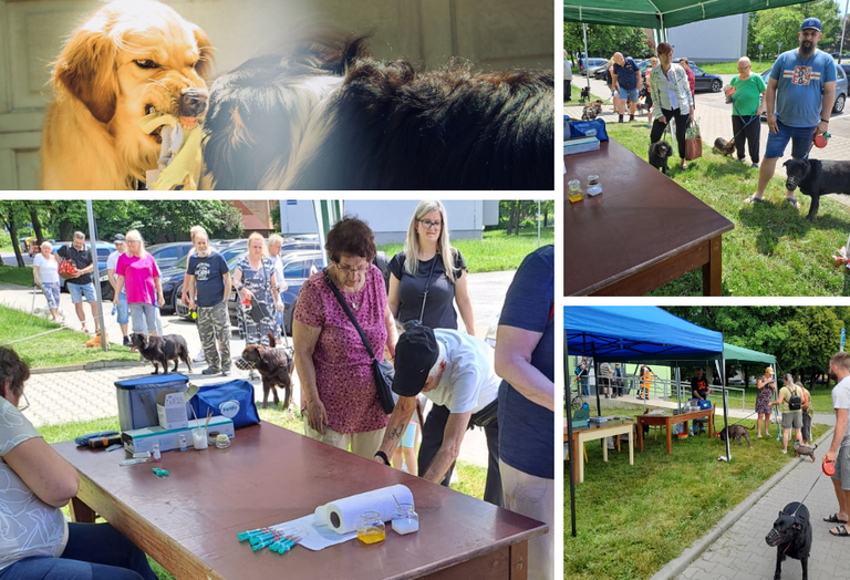 V OSTRAVĚ JIHU PROBÍHÁ HROMADNÉ OČKOVÁNÍ PSŮ