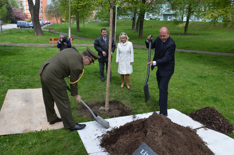 Starosta Martin Bednář při sázení lípy