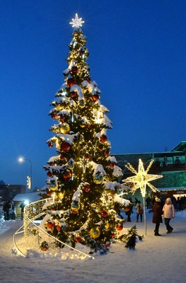 Hledá se strom pro Vánoce na Jihu 2023