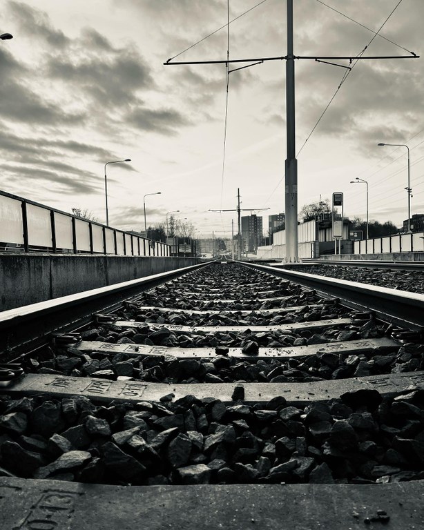 Ve fotosoutěži uspěl černobílý snímek 