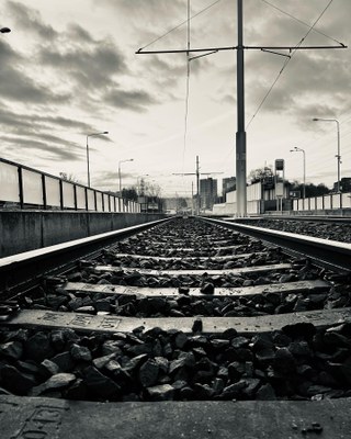 Ve fotosoutěži uspěl černobílý snímek 