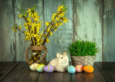 Velikonoce v Ostravě-Jihu nabídnou tradiční jarmark i bohatý program