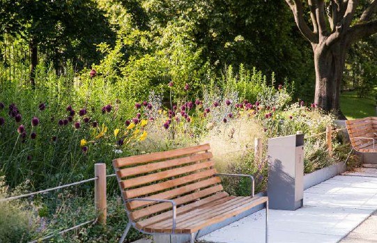 Veřejné projednání úprav zeleně u Savarinu