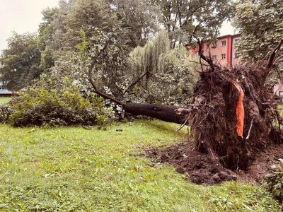 Víkendová bouřka způsobila rozsáhlé škody také v našem obvodě