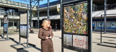 Výstava na náměstí Ostrava-Jih nabízí radostnou záplavu barev 