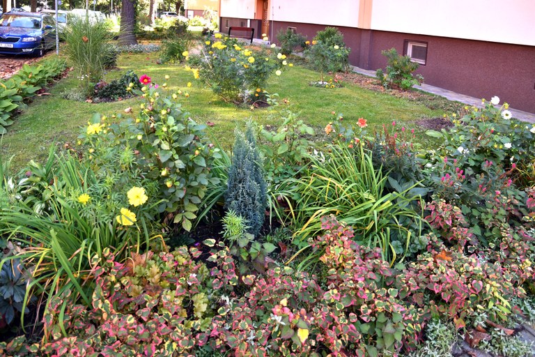 Zvolte nejhezčí předzahrádku Jihu