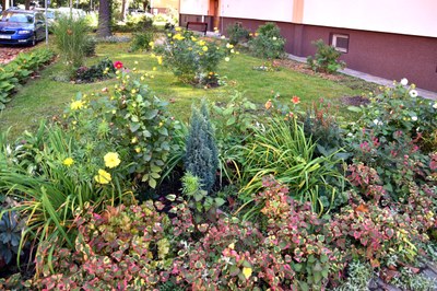 Zvolte nejhezčí předzahrádku Jihu