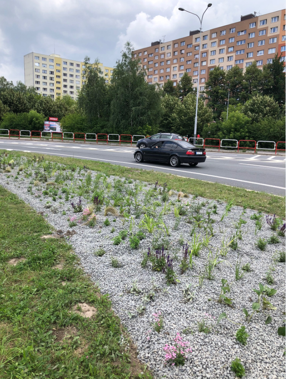 Kruhový objezd v Hrabůvce ožívá 8.800 vysazenými rostlinami