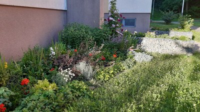 Na předzahrádky radnice opět rozdává příspěvek 1 500 korun