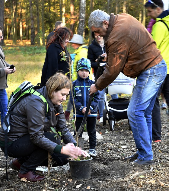 Sady mladých v Ostravě-Jihu se opět rozrostou