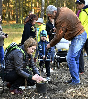 Sady mladých v Ostravě-Jihu se opět rozrostou