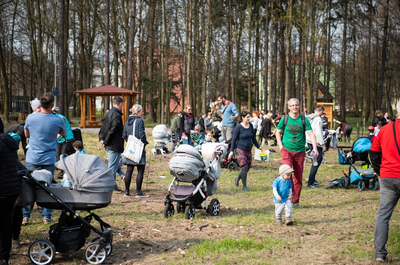 Sady mladých v Ostravě-Jihu se rozrostly o 54 stromů