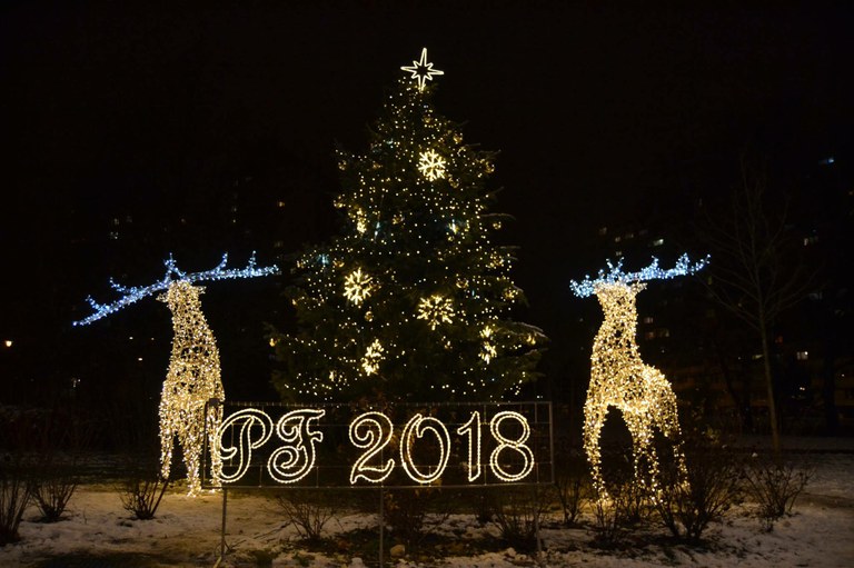 Ulice na Jihu oživila nová vánoční výzdoba