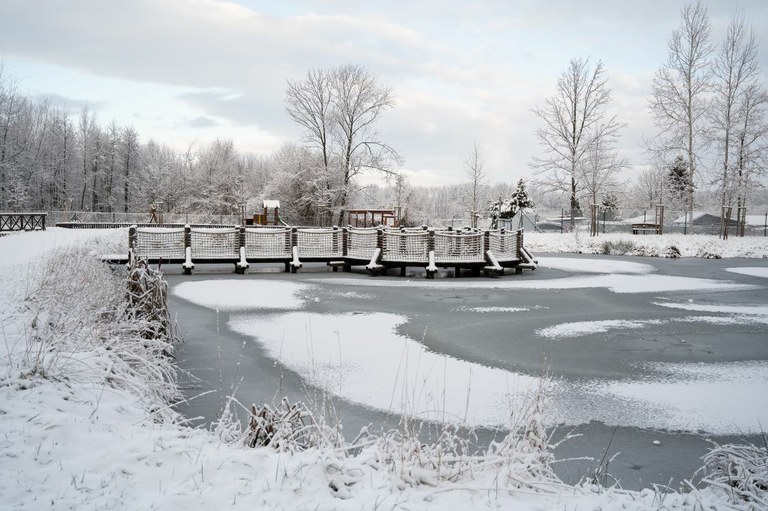 Zasněžené kouzlo Rybníků pod Hurou ve Výškovicích aneb zimní pohádka uprostřed Ostravy. Areál je otevřený celoročně